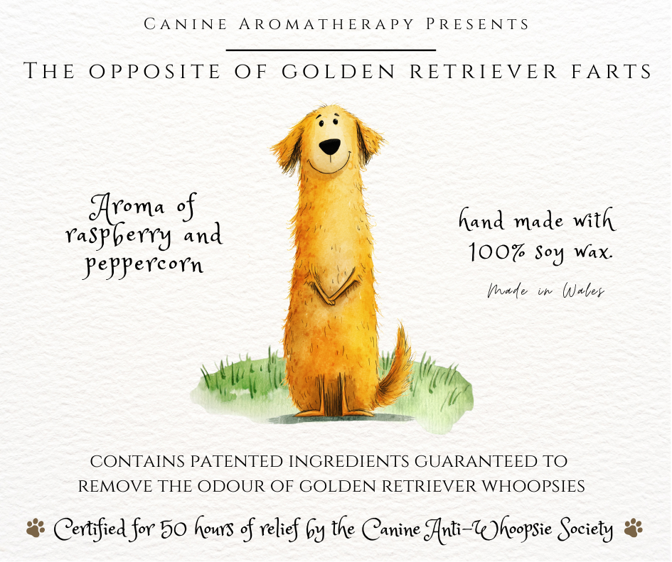 The Opposite of Golden Retriever Farts